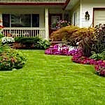 Peyzaj Uygulamaları