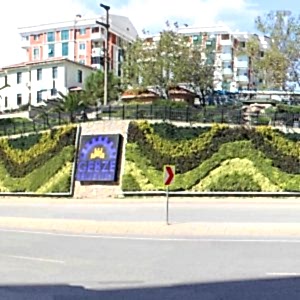 Gebze Belediyesi Dikey Bahçe Uygulaması