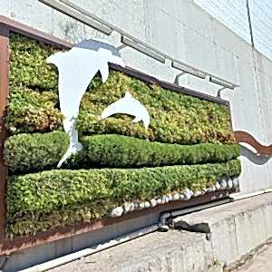 Tuzla Hat Boyu Caddesi01