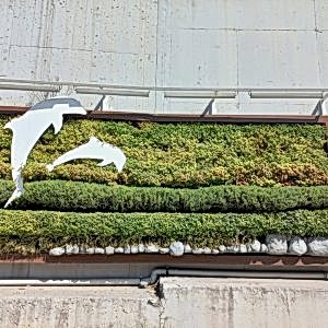 Tuzla Hat Boyu Caddesi02