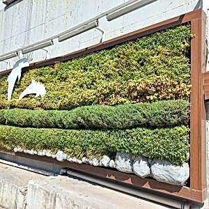 Tuzla Hat Boyu Caddesi03