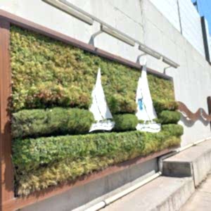 Tuzla Hat Boyu Caddesi04