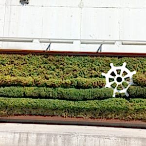 Tuzla Hat Boyu Caddesi08