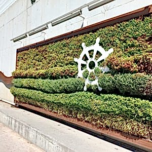 Tuzla Hat Boyu Caddesi09