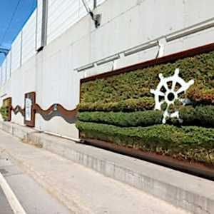 Tuzla Hat Boyu Caddesi10