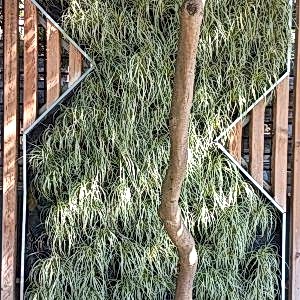 Üsküdar Bülbül Deresi N. Öztürk Parkı 01