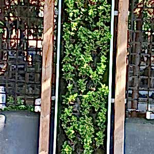 Üsküdar Bülbül Deresi N. Öztürk Parkı 02