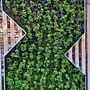 Üsküdar Bülbül Deresi N. Öztürk Parkı 03